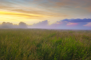 Fototapeta na wymiar beautiful, colorful morning on a spring meadow