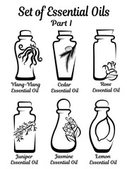 Set of bottles for essential oils. Each bottle is a single composition with flowers or other raw materials from which the essential oil is obtained. Part 1