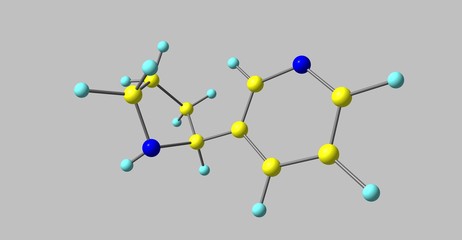 Nornicotine molecular structure isolated on grey
