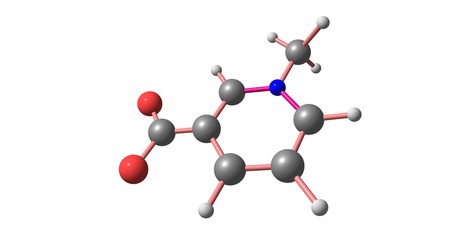 Trigonelline molecular structure isolated on white