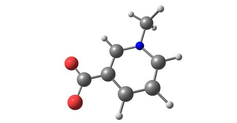 Trigonelline molecular structure isolated on white