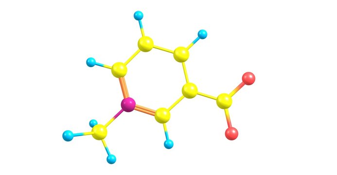 Trigonelline molecular structure isolated on white