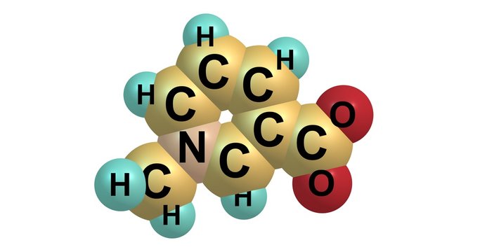 Trigonelline Images Browse 53 Stock Photos, Vectors, and Video