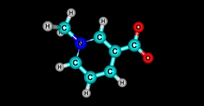 Trigonelline molecular structure isolated on black