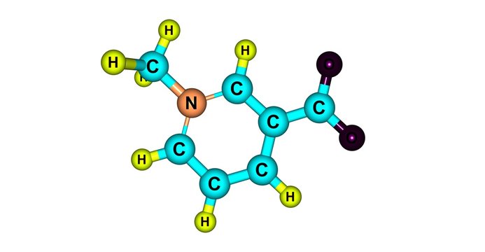 Trigonelline molecular structure isolated on white