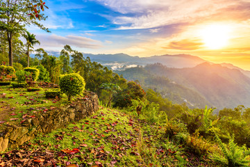 Terrace on the hill in the mountains of central Sri Lanka