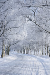 Winter road