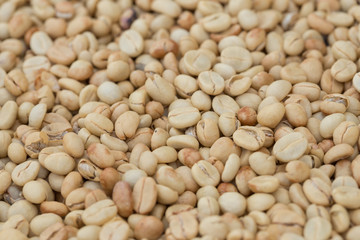 Roasted coffee beans