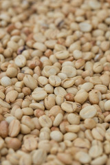 Roasted coffee beans