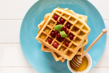 Belgian waffles with honey and cranberries on blue plate. Selective focus