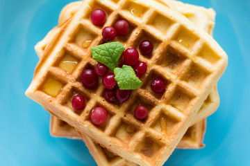 Belgian waffles with honey and cranberries on blue plate. Selective focus