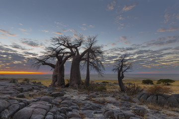 Rocks, baobabs and clouds