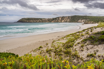 Fototapeta na wymiar Pennington Bay at low tide landscape. Kangaroo Island, South Ausralia