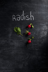 Radish over dark chalkboard background