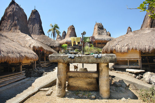 traditional village Pasunga on Sumba island, Indonesia
