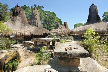 traditional village Pasunga on Sumba island, Indonesia   © robnaw