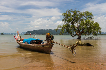 Little traditional longtail boat at low tide with big tree in sea and small island in the background, Krabi, Thailand