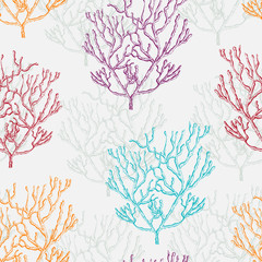 Fototapeta premium Collection of marine plants, corals and seaweed. Vintage seamless pattern with hand drawn marine flora. Vector illustration in line art style.