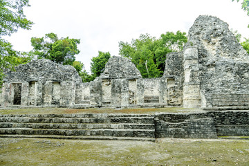Fototapeta na wymiar sight of a temple in ruins in the Mayan archaeological Chicanna enclosure in the reservation of the biosphere of Calakmul, Campeche, Mexico
