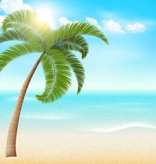 Fototapeta premium Beach with palm and clouds. Summer vacation background
