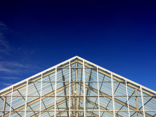 畑のビニールハウスと冬空