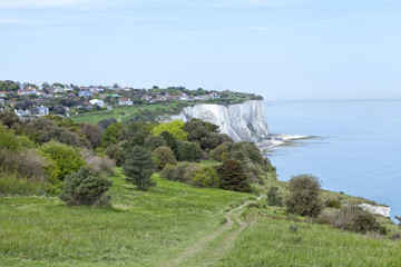 Coastal grass footpath on top of white cliffs of Dover leading to a village on the edge