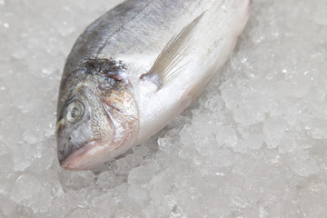 Fresh fish on a surface of pile of ice in fish restaurant. Selec