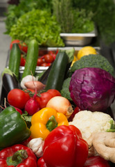 Set of fresh vegetables and herbs. Selective focus. Shallow dept