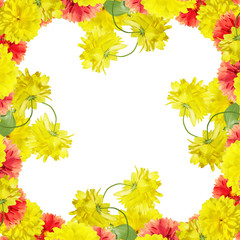 Obraz premium Beautiful floral background of dahlia and rudbeckia 