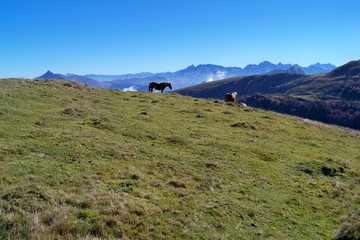 vue du lac Montagnon