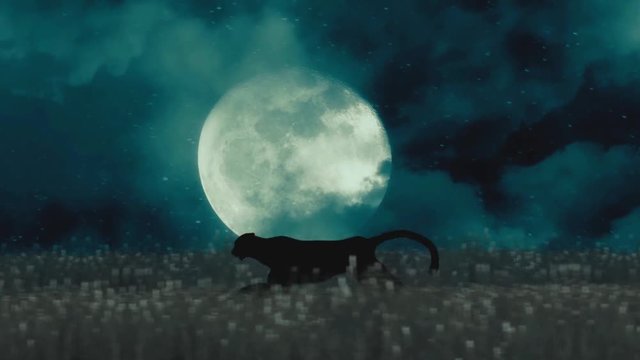 Cheetah Or Black Panther Running Through The Night On A Full Moon Background