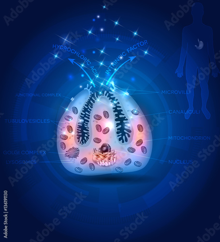 My Image 15