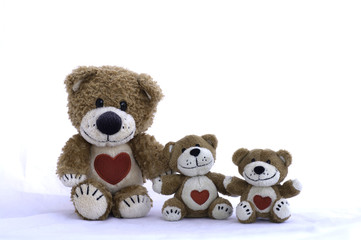 Family teddy bears on a white background.