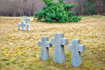 stone crosses in the old cemetery