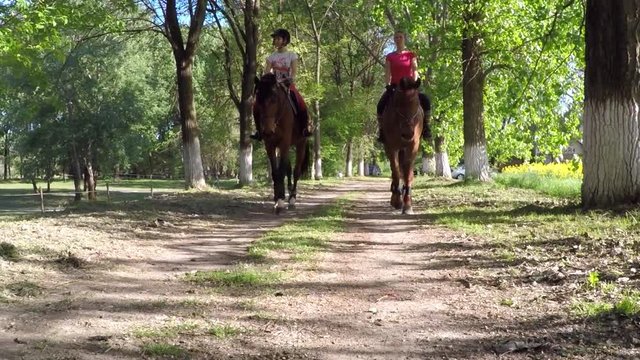 Two young girls riding horses in sunny spring day. Dolly gimbal video.