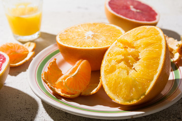 Fototapeta na wymiar different kinds of citrus on white background