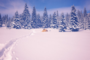 Tent are in winter mountains, standing in the snow