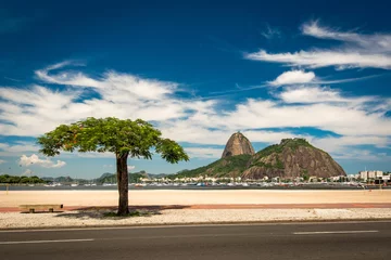 Deurstickers Lonely Tree in Botafogo Beach, Sugarloaf Mountain in the Horizon, and Deep Blue Sky With Clouds in Rio de Janeiro, Brazil © Donatas Dabravolskas
