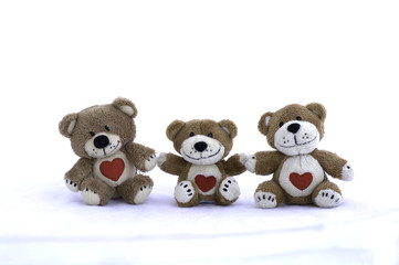 Fototapeta premium Family teddy bears on a white background .