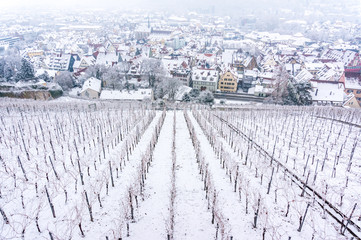 Small frozen vineyard