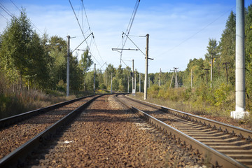 Fototapeta na wymiar Railway tracks in the wood in the summer