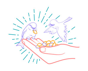 feeding birds from seeds hand