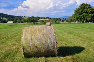 Provence rural landscape, France