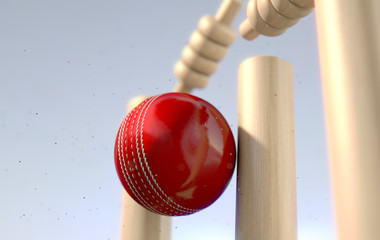 Cricket Ball Hitting Wickets - obrazy, fototapety, plakaty
