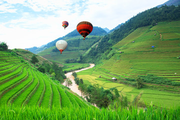 Balloon float in the rice fields on terraced of Mu Cang Chai, YenBai, Vietnam. Rice fields prepare the harvest at Northwest Vietnam.