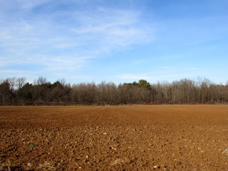 Fototapeta na wymiar Campo arato pronto per l'agricoltura - inverno