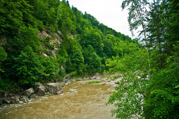 Calming view of the mountain river