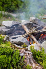 Bright bonfire in green summer forest in camp