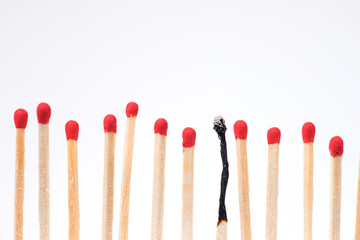 Burnt match between new matchsticks, shallow depth of field