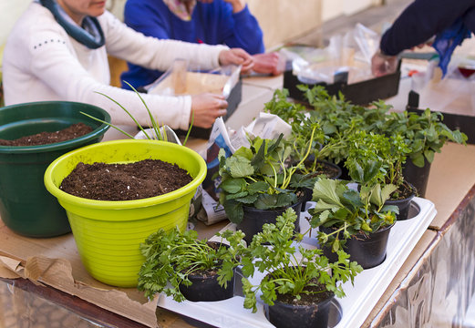 Gardening workshop